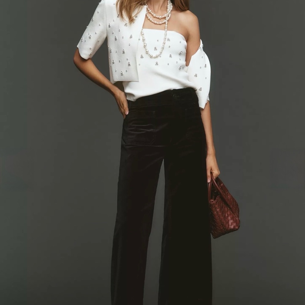 Anthropologie Maeve Colette Black Onyx Wide-Leg Velvet High Rise Pants - Size 25